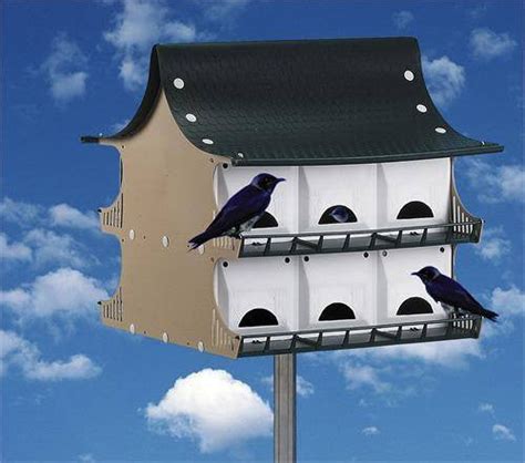 purple martin houses near me